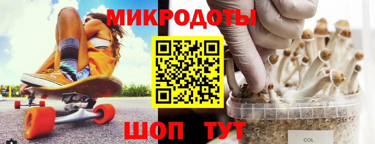 Димитровград  Псилоцибиновые грибы прущие грибы  Вход с VPN  Галлюциногенные грибы Cubensis 